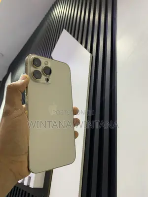 Apple iPhone 13 Pro Max 256 GB Gold