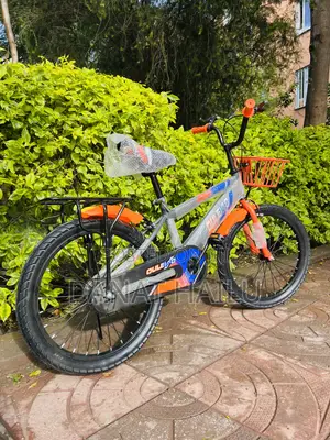 Brand New Bike
