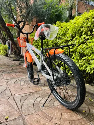 Brand New Bike