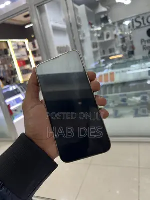 Apple iPhone 15 Pro Max 256 GB Gray