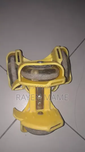 Skate Board