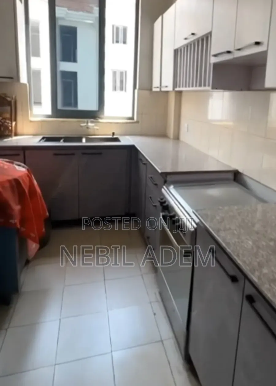Furnished 3bdrm Apartment in Metro Real Estate, Bole for sale