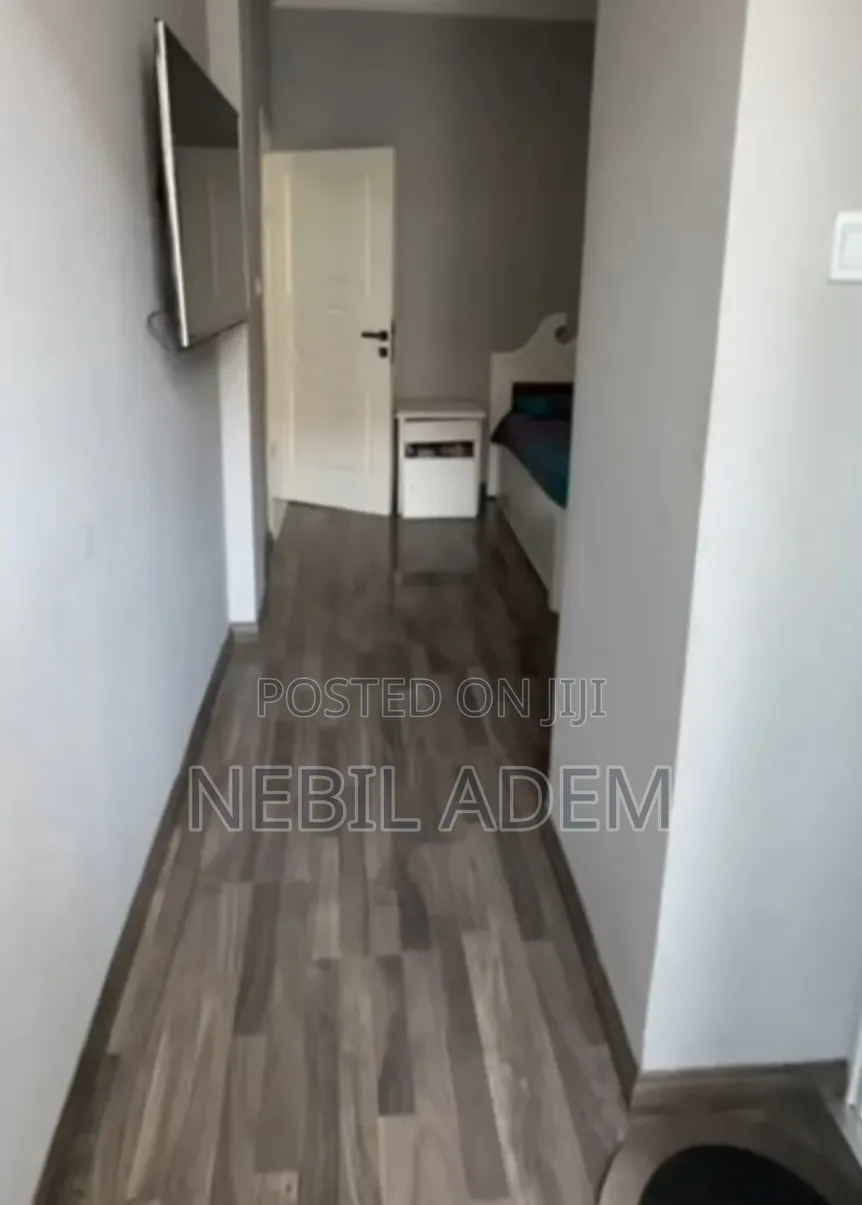 Furnished 3bdrm Apartment in Metro Real Estate, Bole for sale