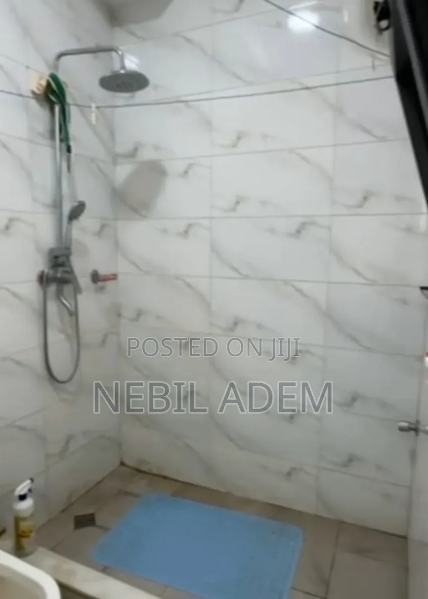 Furnished 3bdrm Apartment in Metro Real Estate, Bole for sale