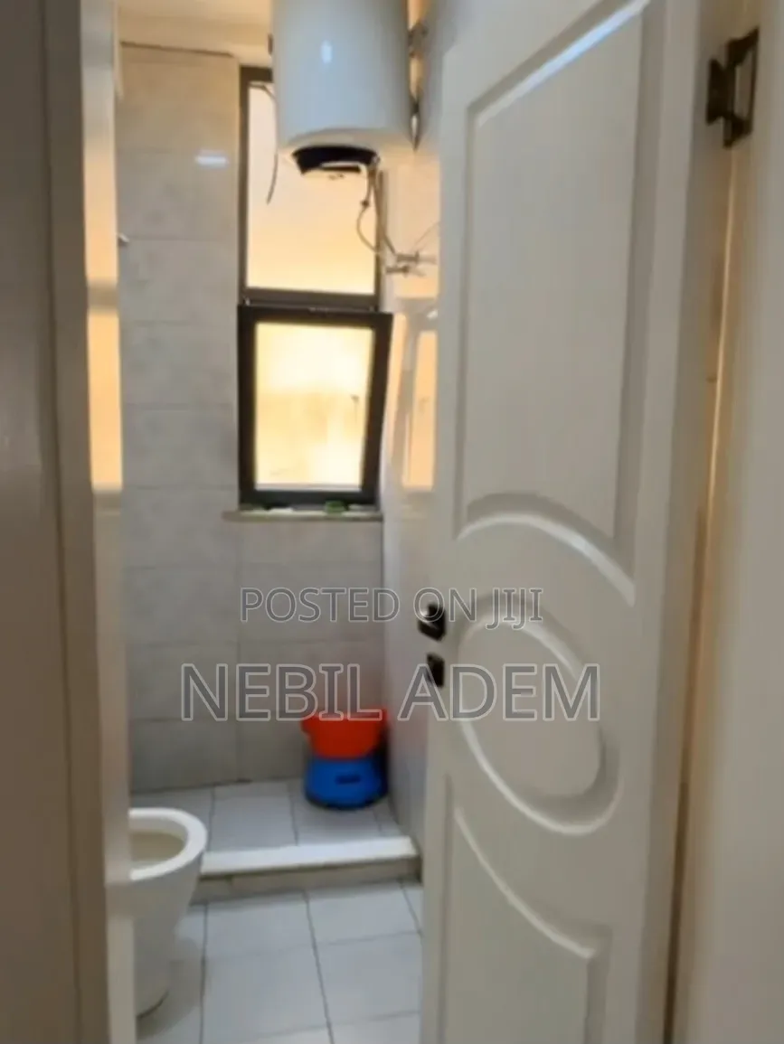Furnished 3bdrm Apartment in Metro Real Estate, Bole for sale