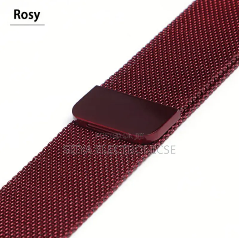 Style Stainless Steel Mesh Strap for the Apple Watch