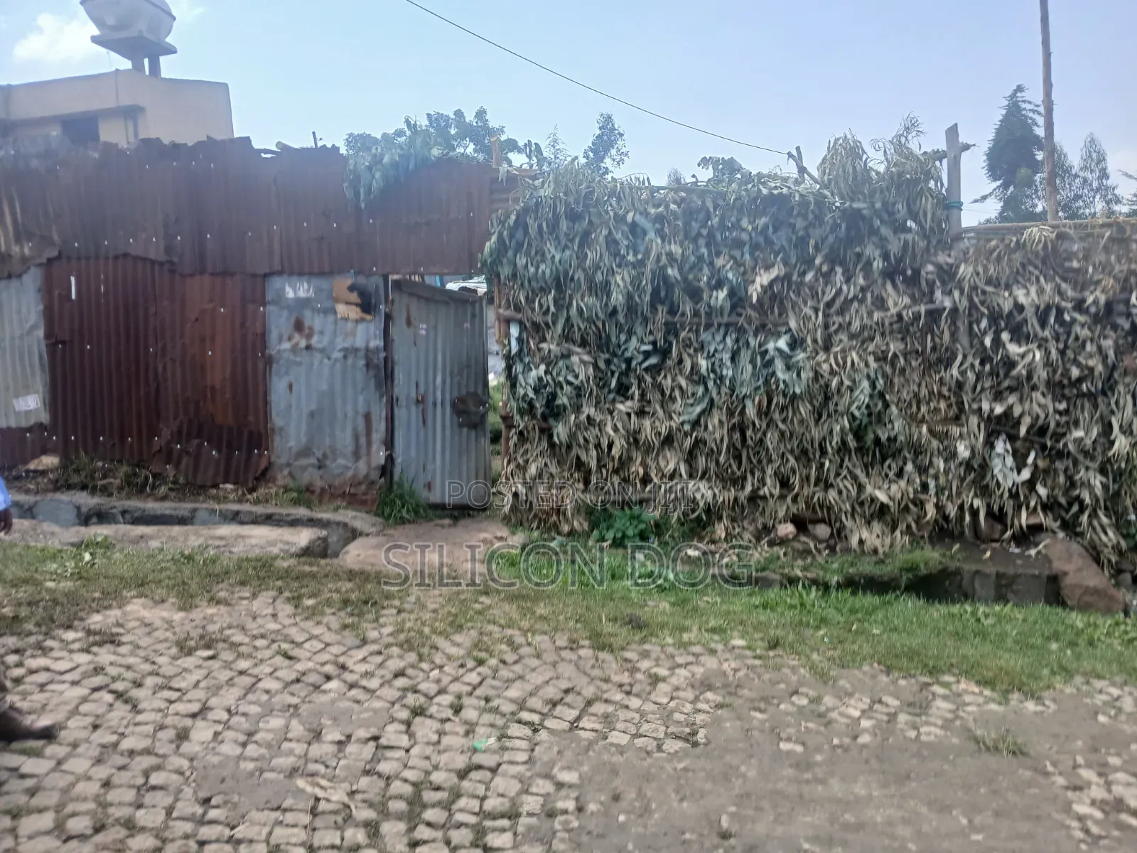 መሃል ካራ, አርሴማ ጋር የሚሸጥ 1000 ካሬ ግቢ