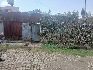 መሃል ካራ, አርሴማ ጋር የሚሸጥ 1000 ካሬ ግቢ