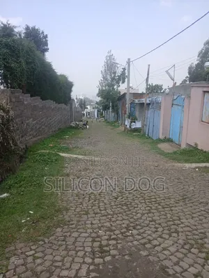 መሃል ካራ, አርሴማ ጋር የሚሸጥ 1000 ካሬ ግቢ