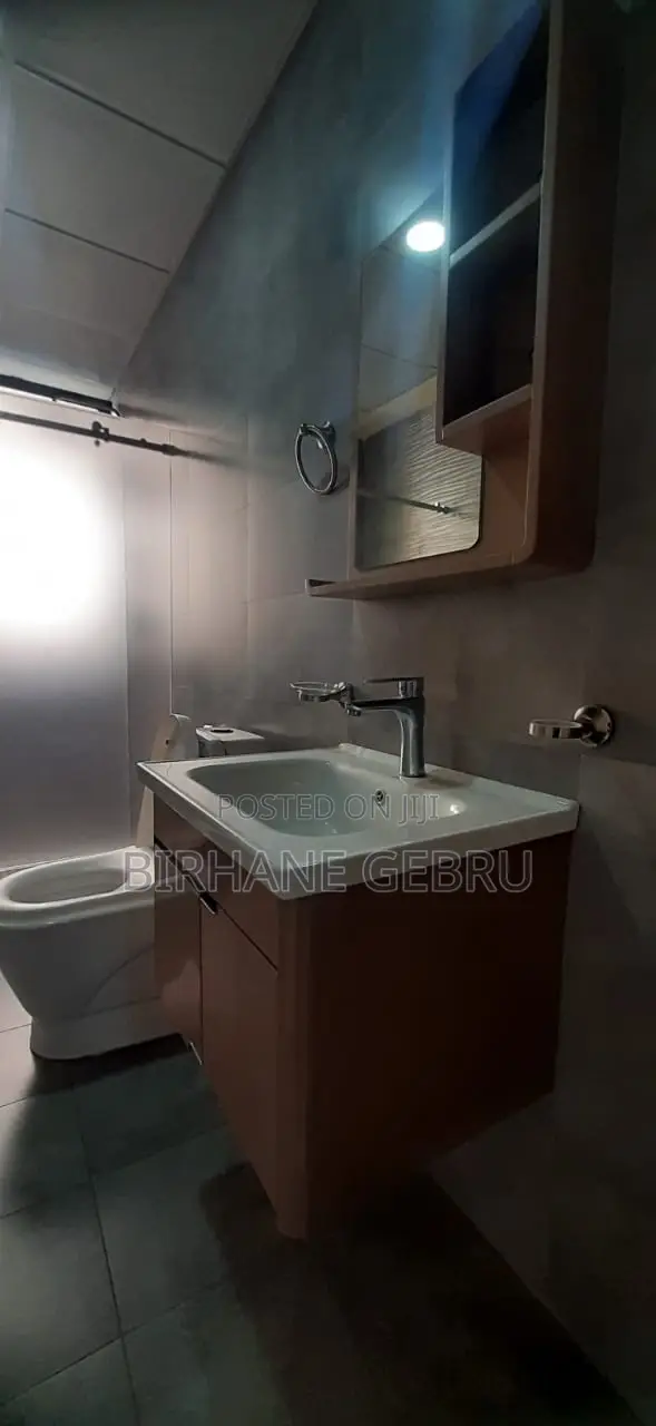 Furnished 2bdrm Apartment in Luxury Fernished, Kirkos for rent