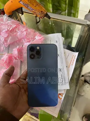 Apple iPhone 12 Pro Max 256 GB Blue