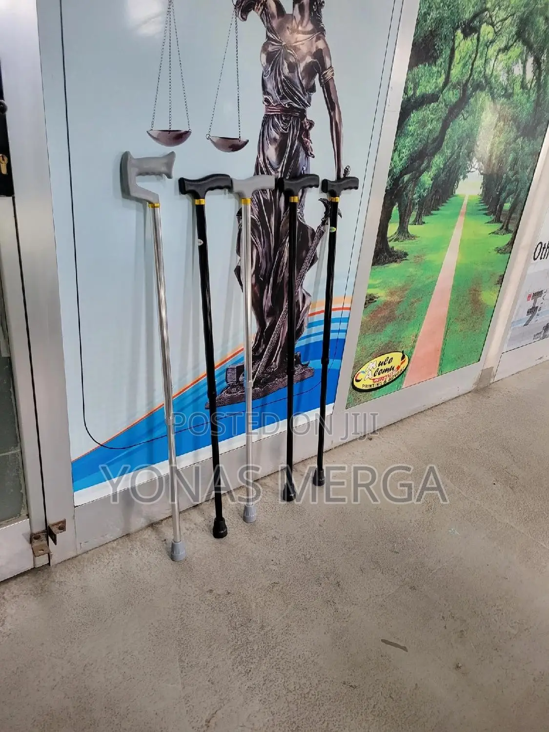 Walking Stick for Seniors,Aid焓粵improved Mobility Wherever You Go.