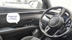 Hyundai Tucson 2021 Gray