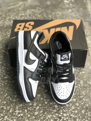 NIKE Sb Dunk 1LOW
