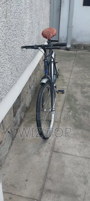Mountain Bicycle , Bike , Cycle