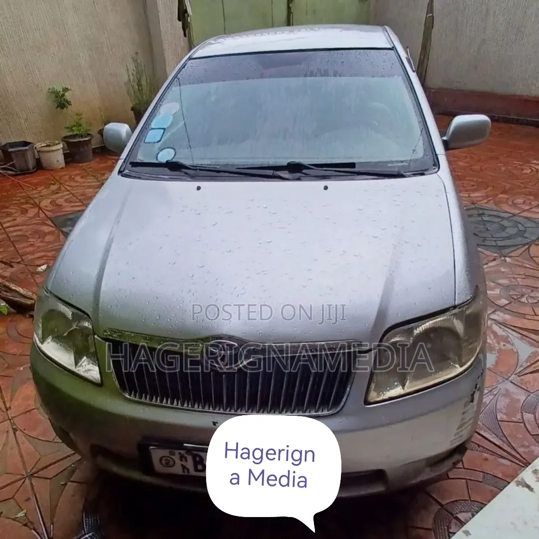 Toyota Corolla 2007 Silver