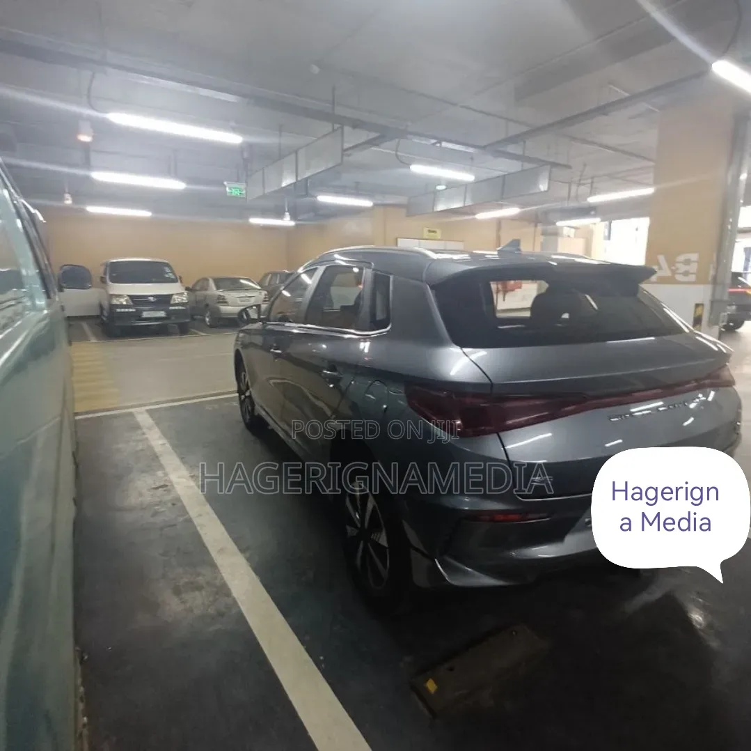 BYD E2 43 kWh 94 hp FWD 2024 Gray