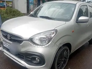 Suzuki Celerio 2022 Silver