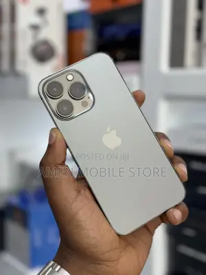 Apple iPhone 13 Pro 256 GB Gray