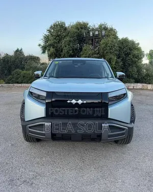 New BYD Leopard 3 2025