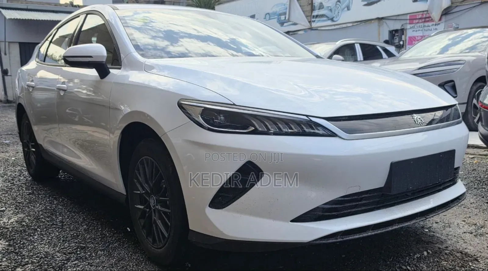 New BYD Qin Plus DM-i 2025 White