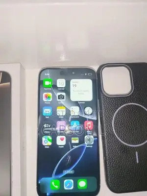 New Apple iPhone 16 Pro Max 256 GB Silver