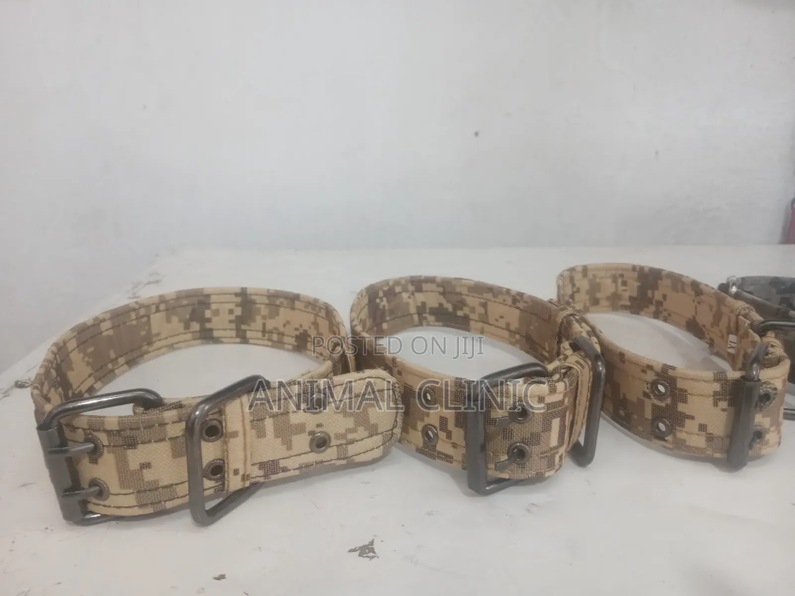 Dog Collar Large