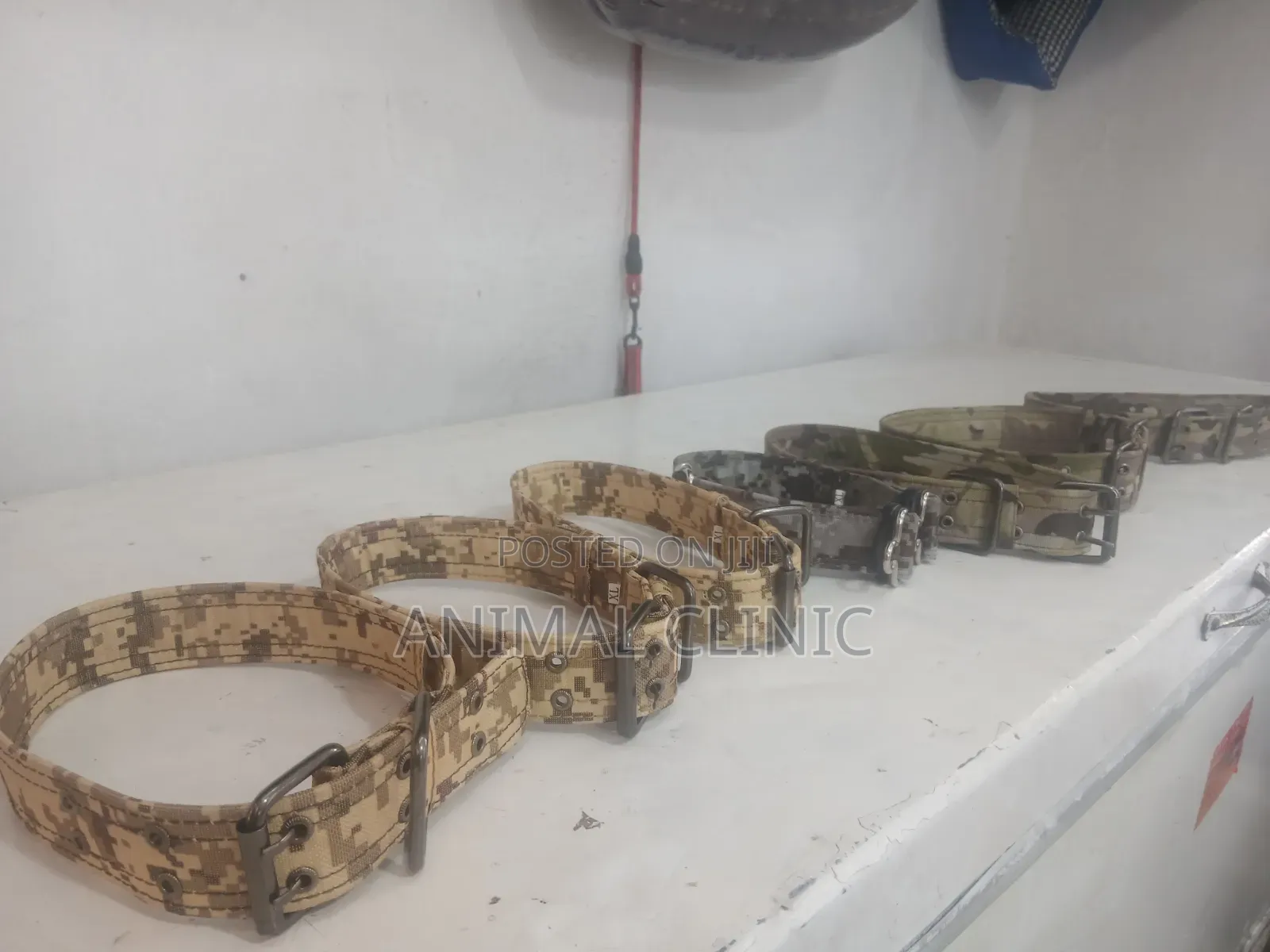 Dog Collar Large