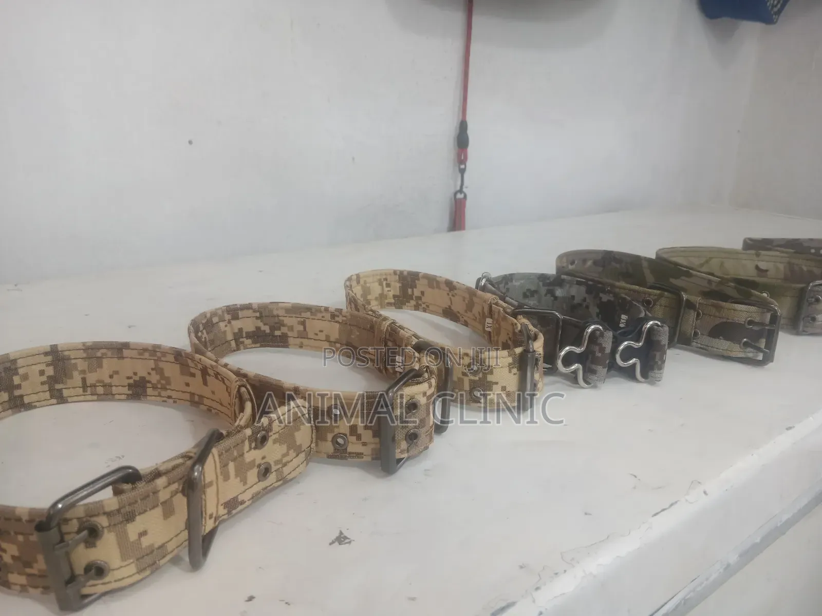 Dog Collar Large