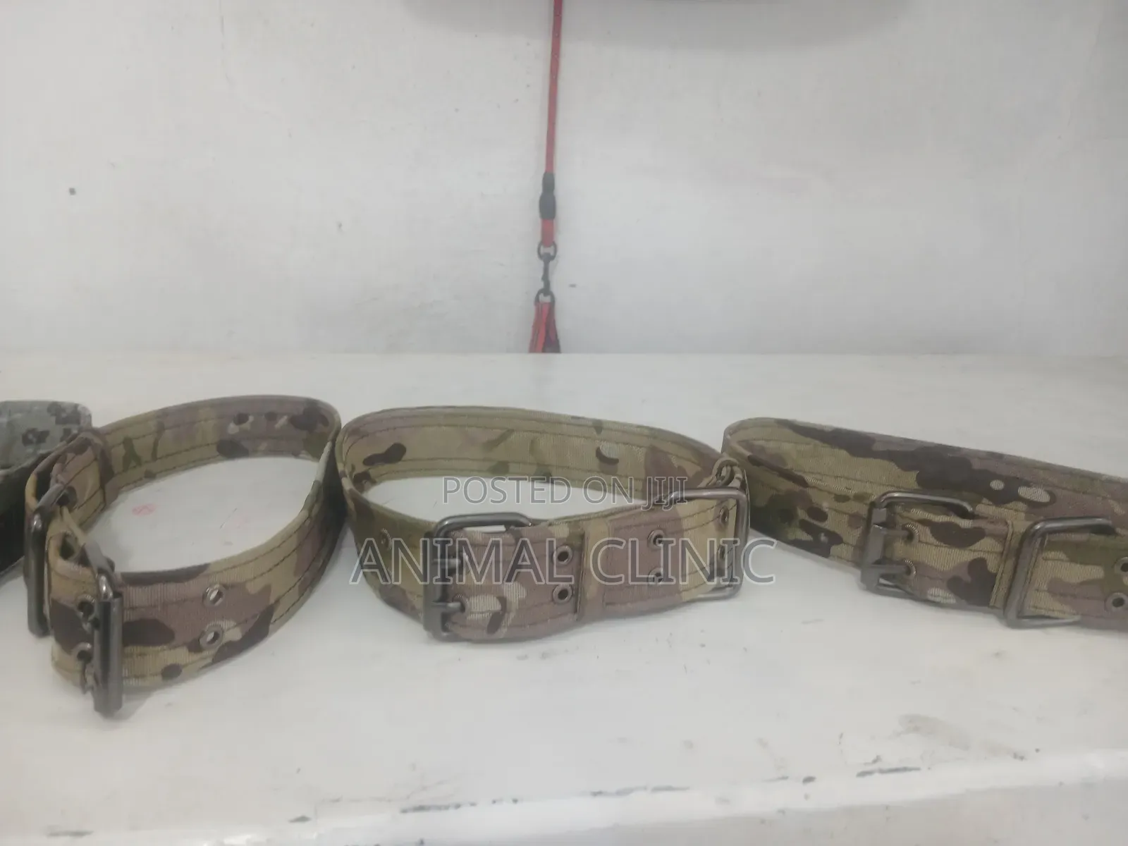 Dog Collar Large