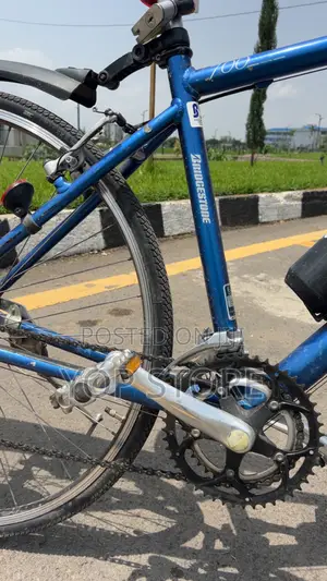 28” Bicycle