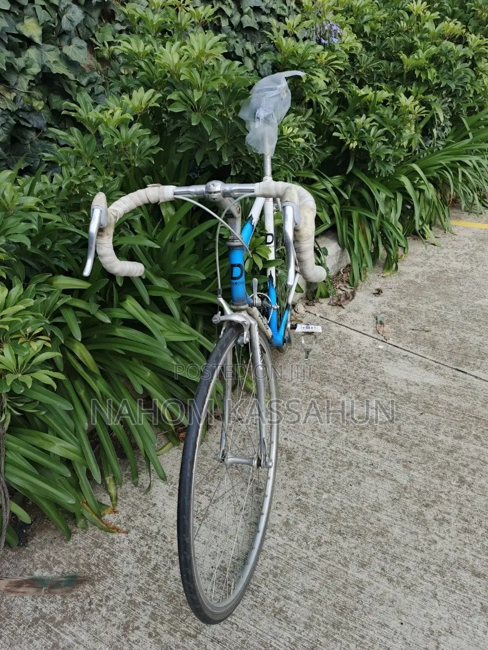 Diamond Vintage Course Bike