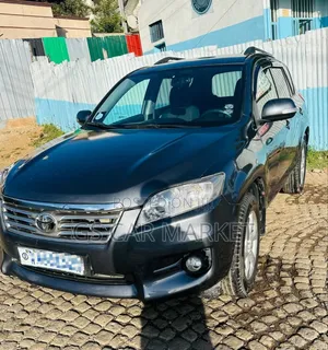 Toyota RAV4 2010 Gray