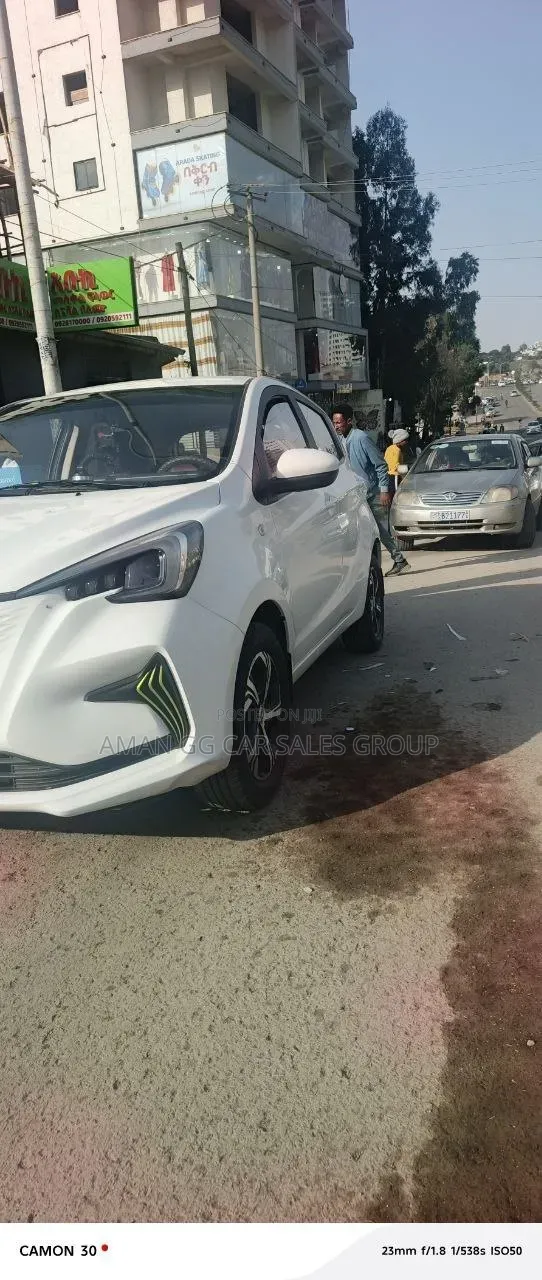 Changan BenBen E-Star 2023 Gray