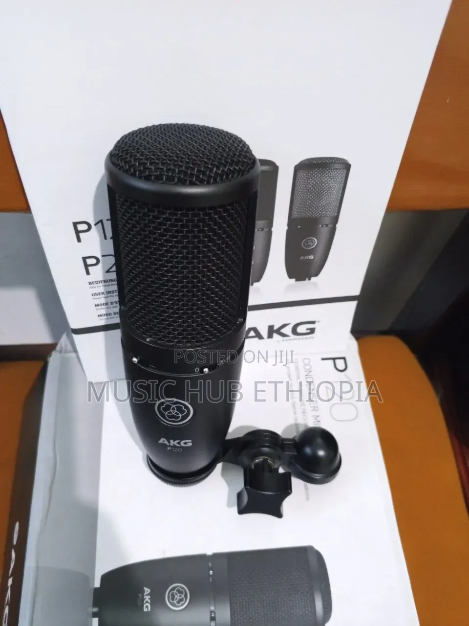 AKG P120 True Condenser Microphone