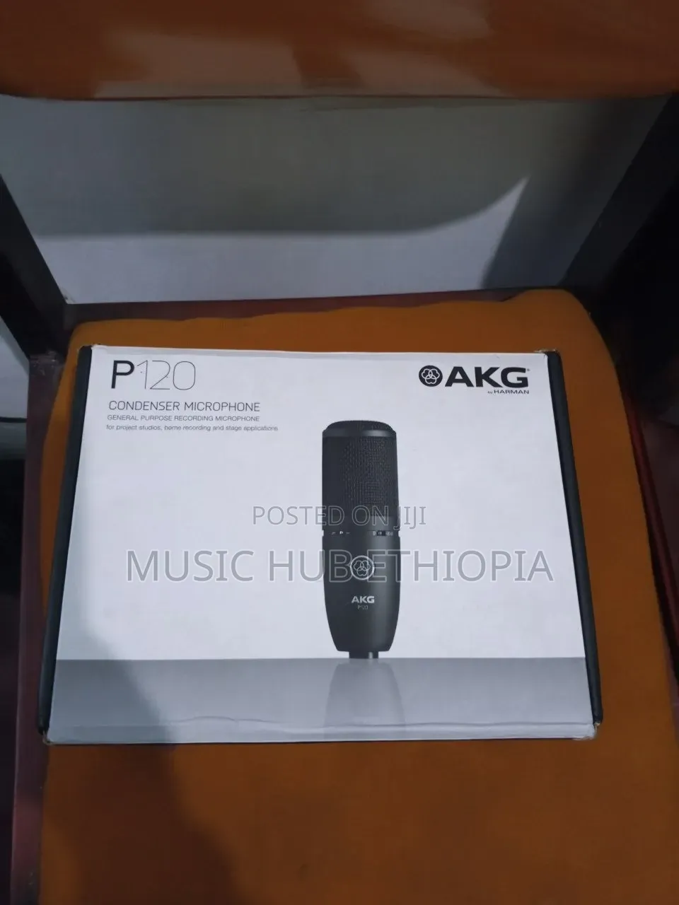AKG P120 True Condenser Microphone