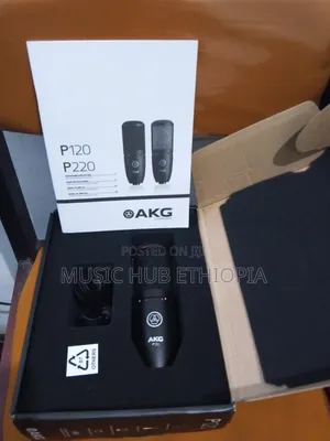 AKG P120 True Condenser Microphone