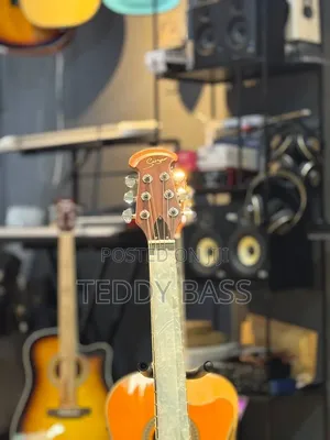 Singer Box Guitar
