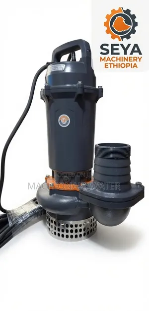 Leo Submersible (የጉድጓድ ውሀ ማዉጫ)Water Pump 2hp