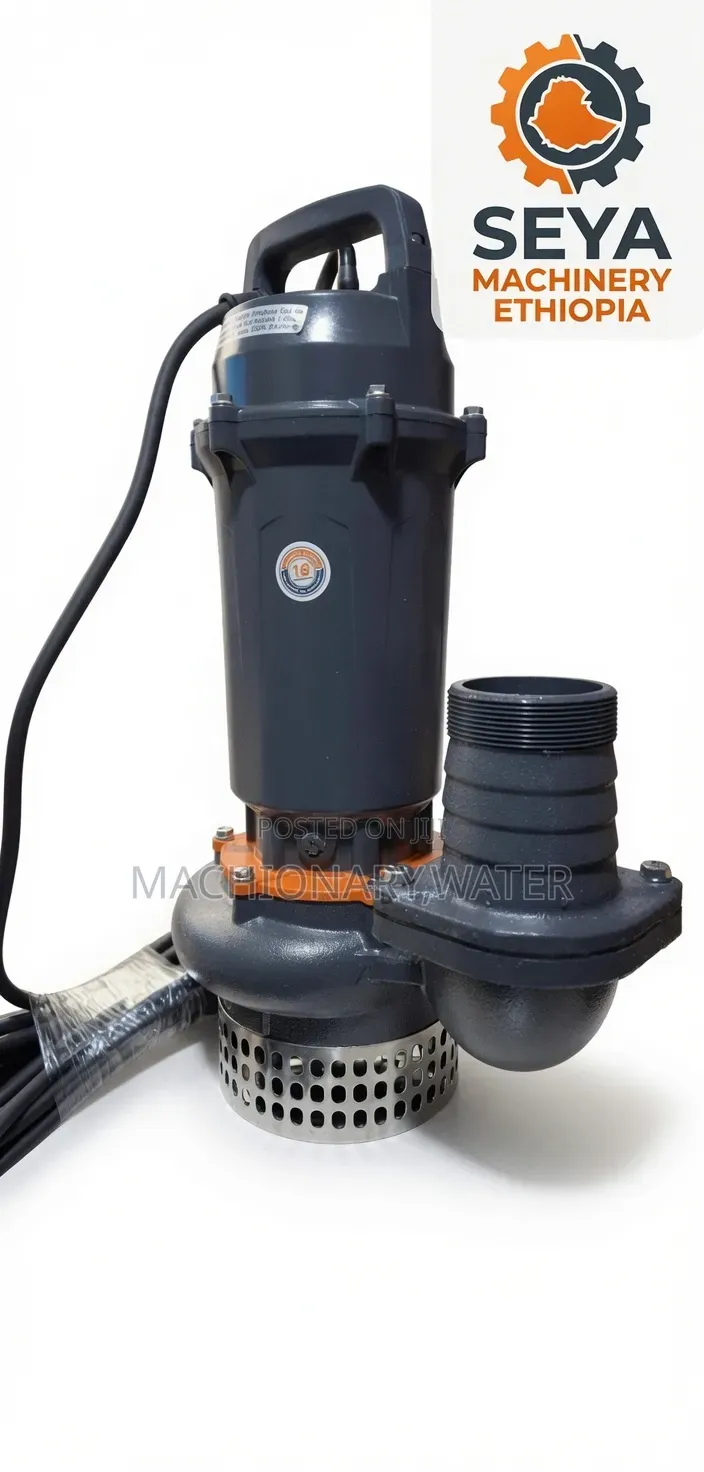 Leo Submersible (የጉድጓድ ውሀ ማዉጫ)Water Pump 2hp