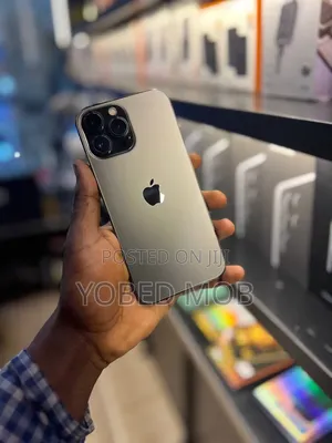 Apple iPhone 13 Pro Max 256 GB