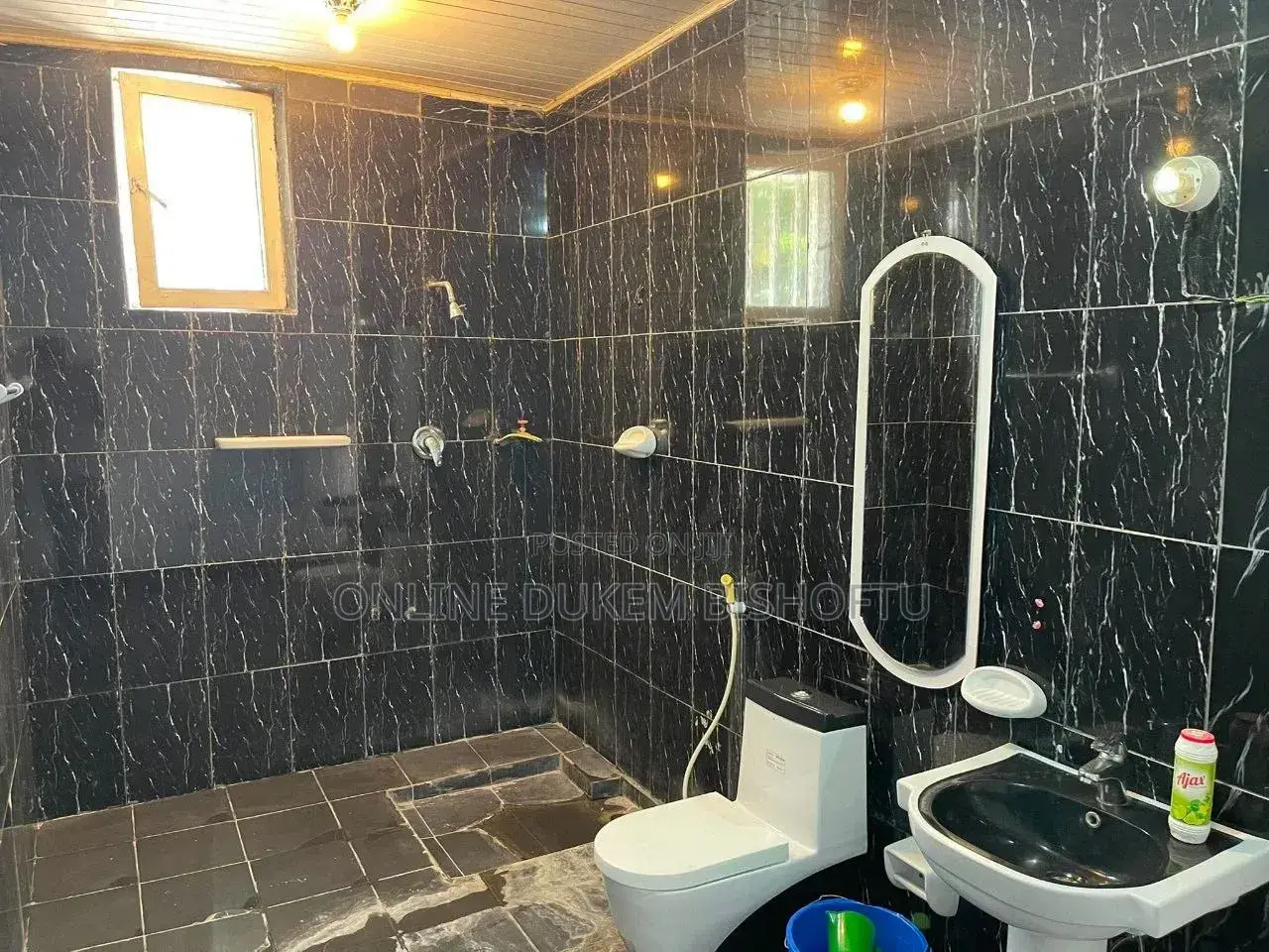 Furnished 11bdrm House in Dukem Bishoftu, East Shewa for sale