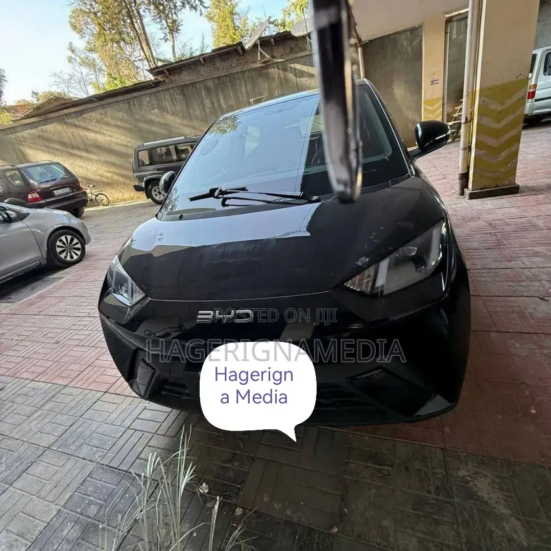 BYD Seagull 2024 Black