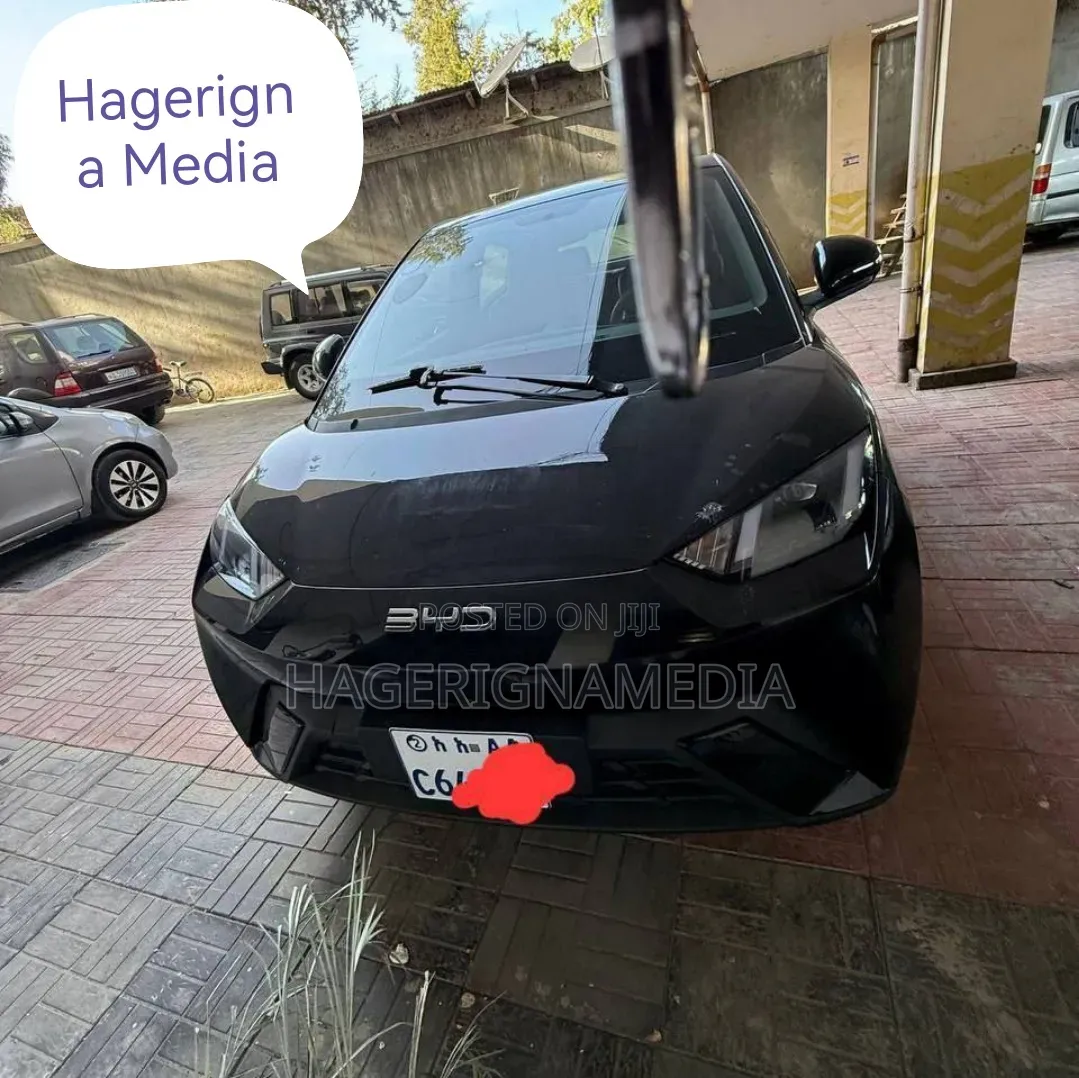BYD Seagull 2024 Black