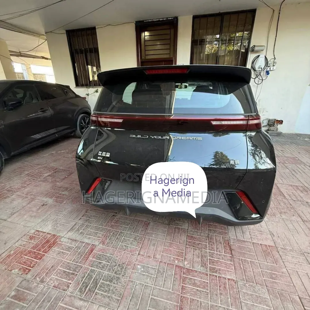 BYD Seagull 2024 Black