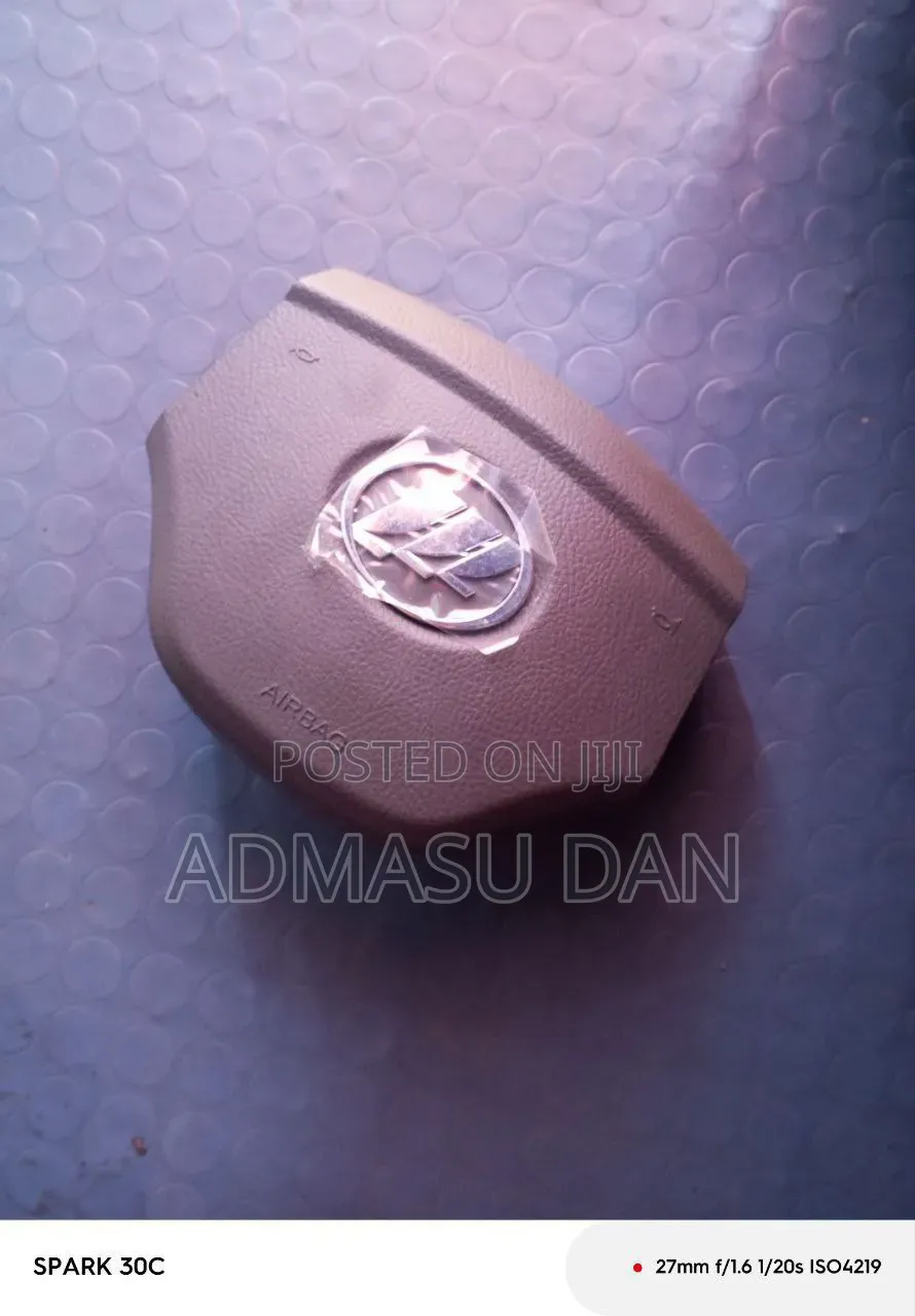 Lifan 620 Air Bag