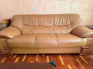 Leather Sofa Set
