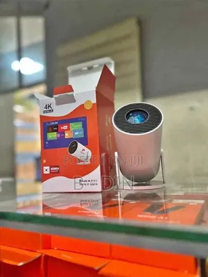Pozzer Mini Projector