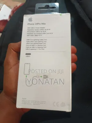 iPhone Charger