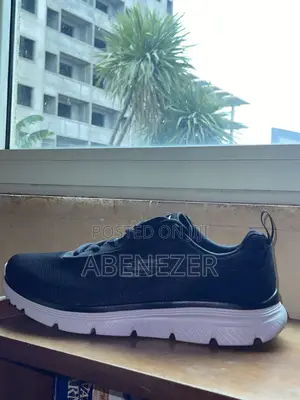 Sketchers Shoe